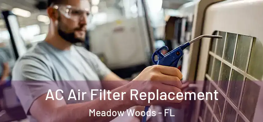  AC Air Filter Replacement Meadow Woods - FL
