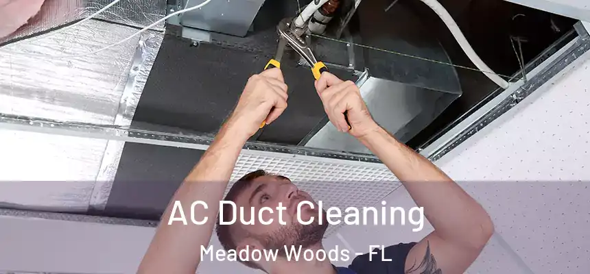 AC Duct Cleaning Meadow Woods - FL