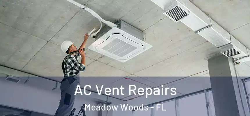 AC Vent Repairs Meadow Woods - FL