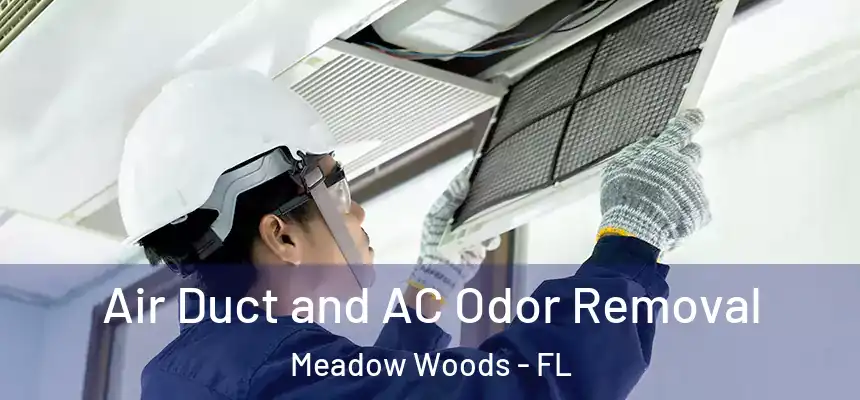 Air Duct and AC Odor Removal Meadow Woods - FL