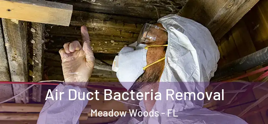 Air Duct Bacteria Removal Meadow Woods - FL