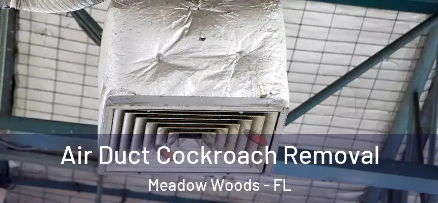 Air Duct Cockroach Removal Meadow Woods - FL
