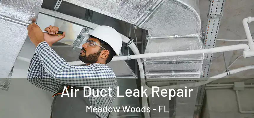 Air Duct Leak Repair Meadow Woods - FL