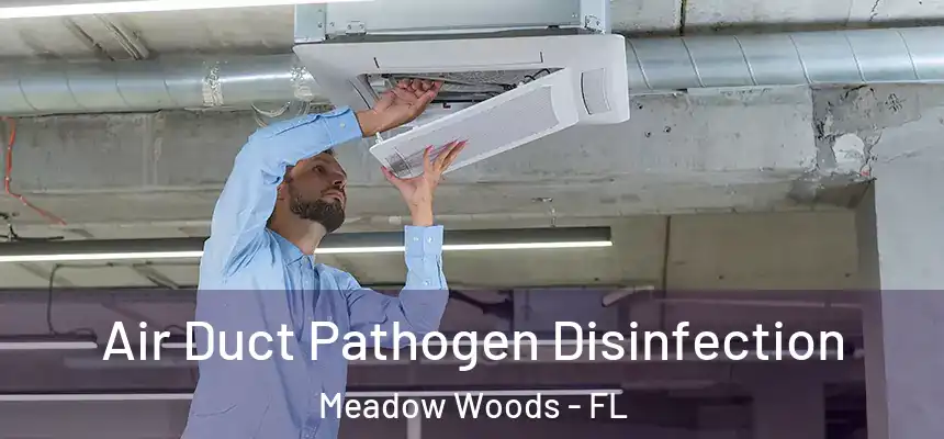 Air Duct Pathogen Disinfection Meadow Woods - FL