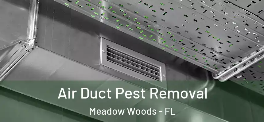  Air Duct Pest Removal Meadow Woods - FL
