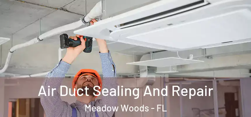  Air Duct Sealing And Repair Meadow Woods - FL