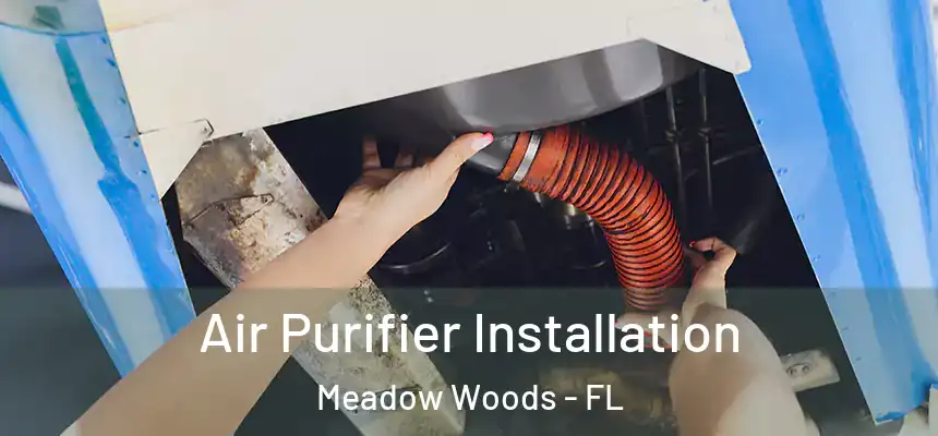 Air Purifier Installation Meadow Woods - FL