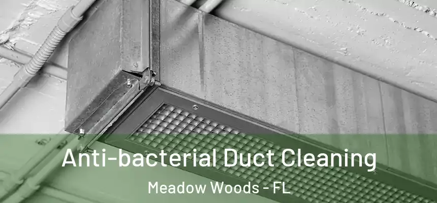 Anti-bacterial Duct Cleaning Meadow Woods - FL
