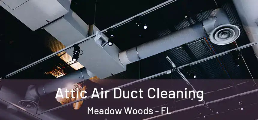  Attic Air Duct Cleaning Meadow Woods - FL