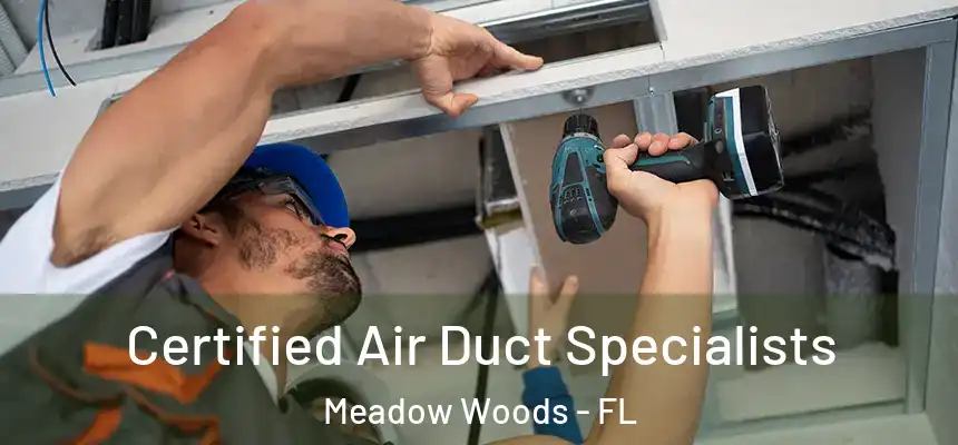 Certified Air Duct Specialists Meadow Woods - FL