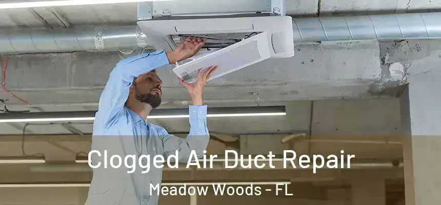 Clogged Air Duct Repair Meadow Woods - FL