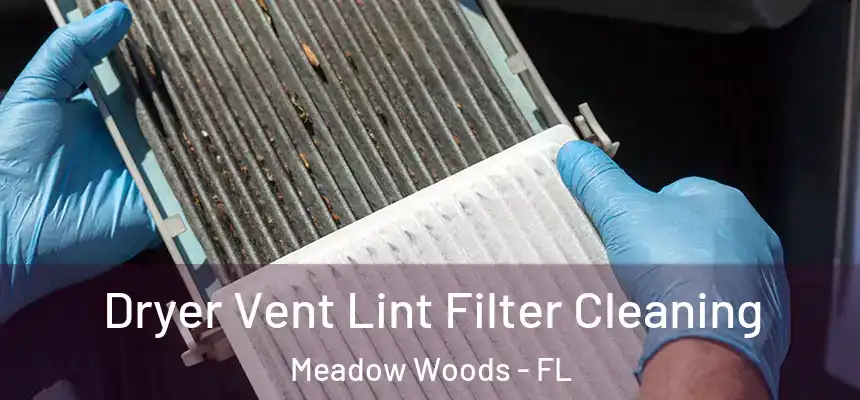 Dryer Vent Lint Filter Cleaning Meadow Woods - FL