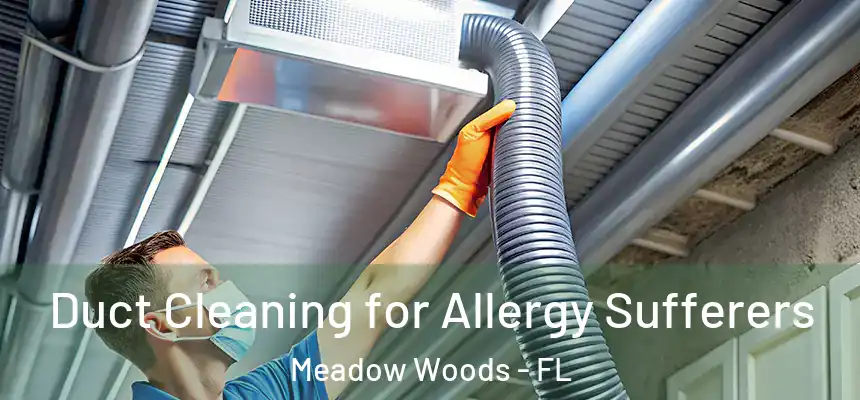  Duct Cleaning for Allergy Sufferers Meadow Woods - FL