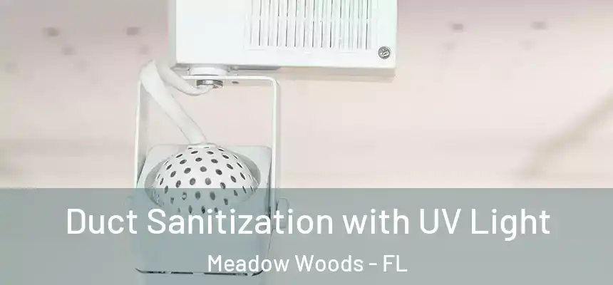 Duct Sanitization with UV Light Meadow Woods - FL