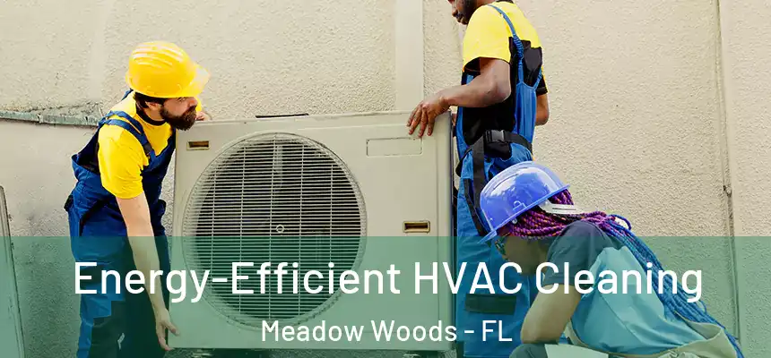 Energy-Efficient HVAC Cleaning Meadow Woods - FL