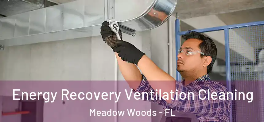 Energy Recovery Ventilation Cleaning Meadow Woods - FL