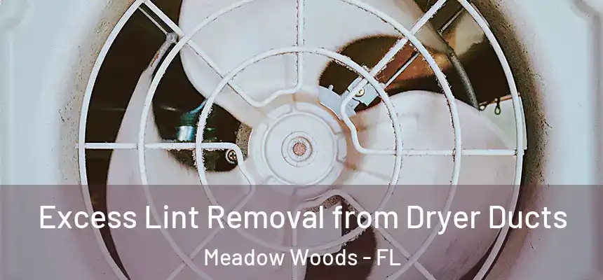 Excess Lint Removal from Dryer Ducts Meadow Woods - FL
