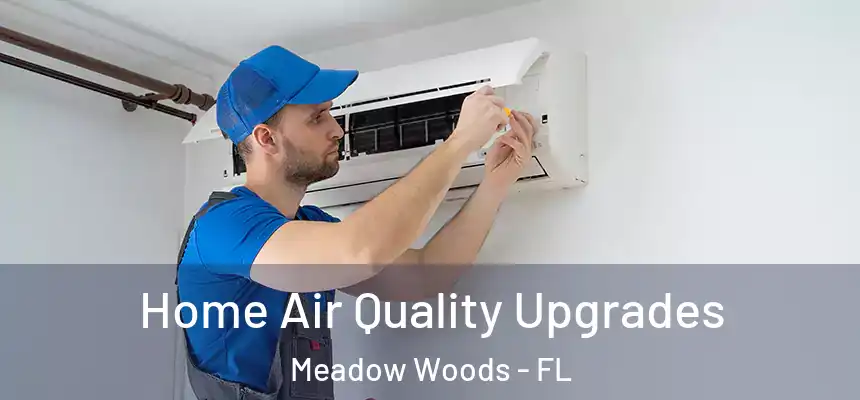  Home Air Quality Upgrades Meadow Woods - FL