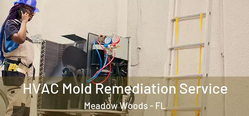 HVAC Mold Remediation Service Meadow Woods - FL