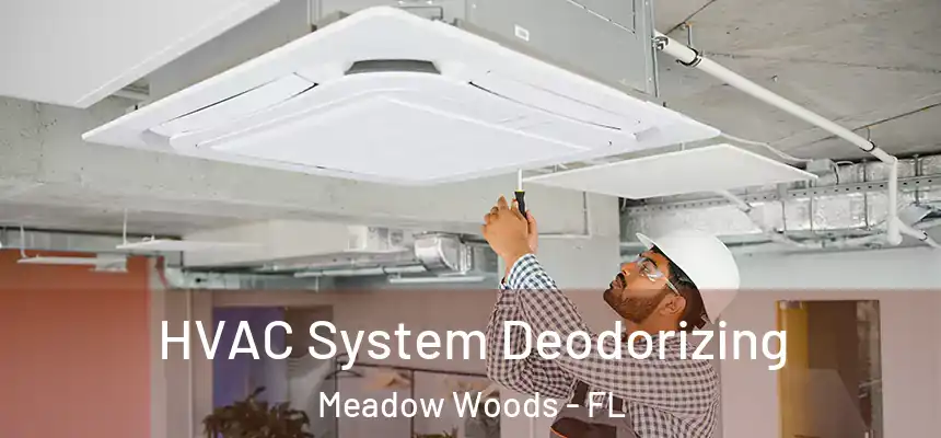 HVAC System Deodorizing Meadow Woods - FL