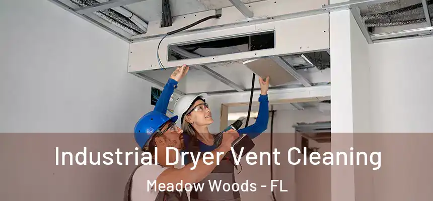 Industrial Dryer Vent Cleaning Meadow Woods - FL