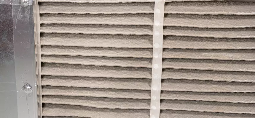 Mobile Car AC Filter Replacement in Meadow Woods