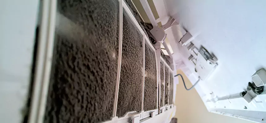 Preventive Air Duct Bacteria Removal in Meadow Woods