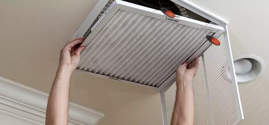 Preventive Cockroach-Proofing for Ducts in Meadow Woods