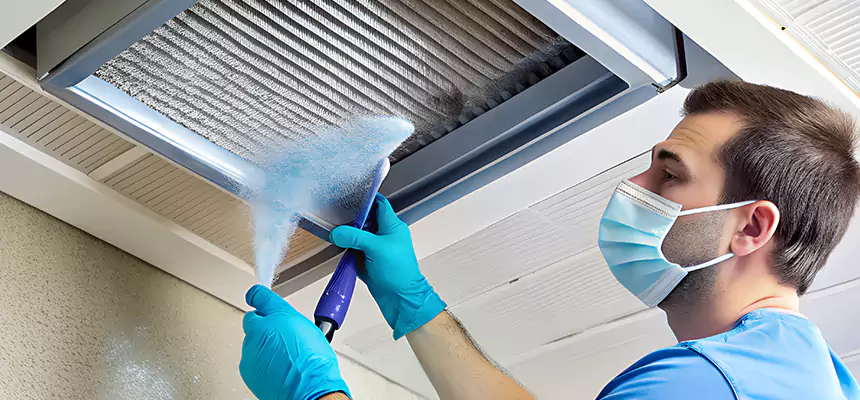 Proactive Dryer Vent & Auxiliary Duct Pollen Cleanup in Meadow Woods, FL