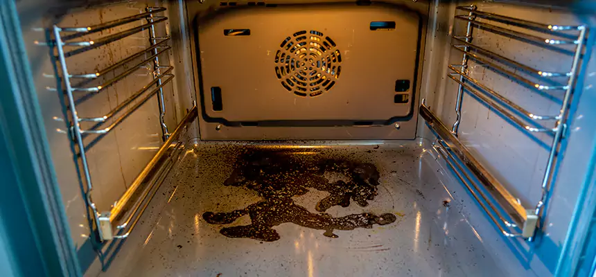 Our Dryer Vent Mold Cleaning Services in Meadow Woods, FL