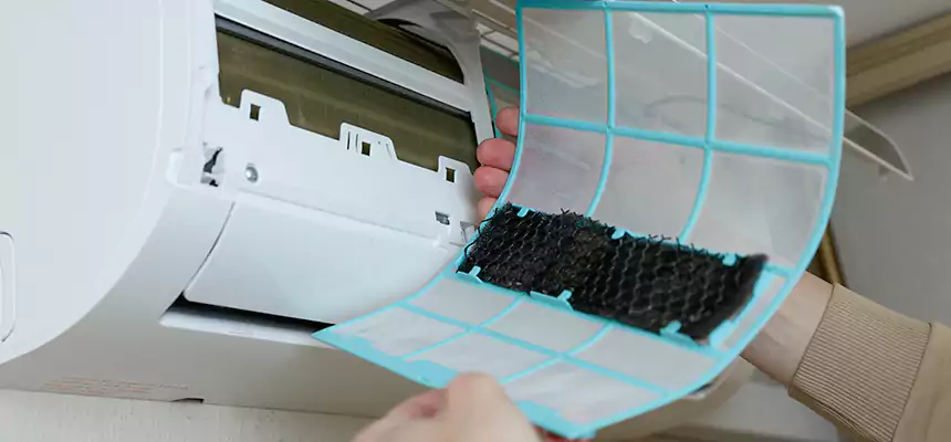 Gentle Ductwork Odor-Control Pet Dander Duct Cleaning in Meadow Woods, FL