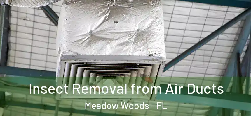 Insect Removal from Air Ducts Meadow Woods - FL