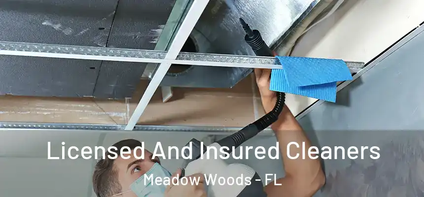 Licensed And Insured Cleaners Meadow Woods - FL