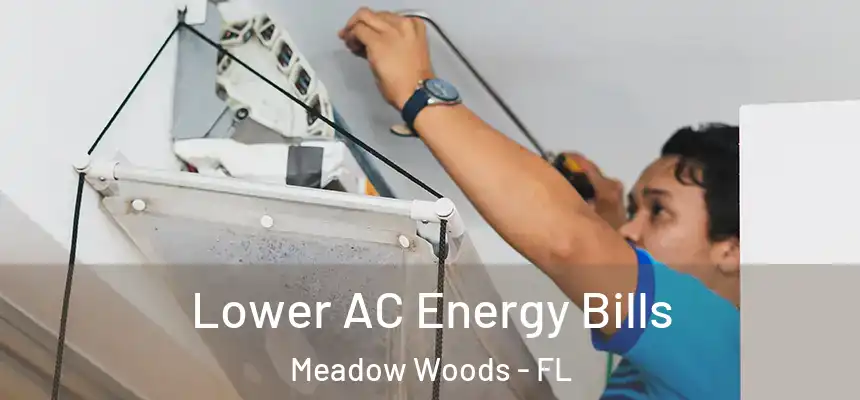 Lower AC Energy Bills Meadow Woods - FL