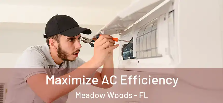 Maximize AC Efficiency Meadow Woods - FL