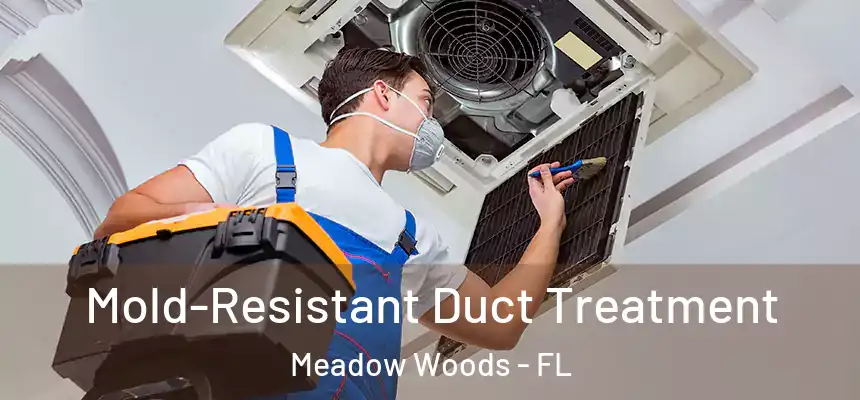  Mold-Resistant Duct Treatment Meadow Woods - FL