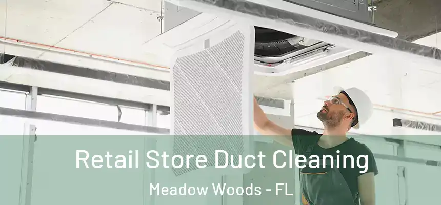 Retail Store Duct Cleaning Meadow Woods - FL
