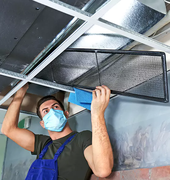 About Air Duct Bacteria Removal in Meadow Woods