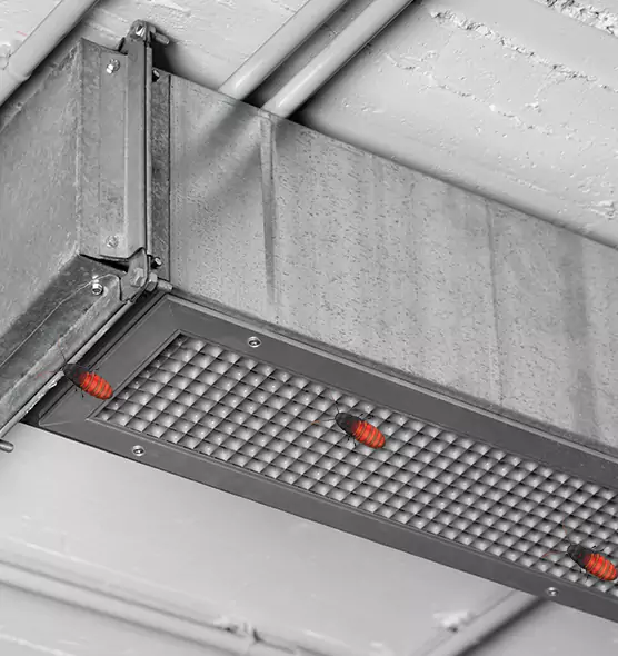 About Air Duct Cockroach Removal in Meadow Woods, FL