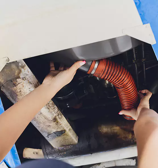 About Air Duct Virus Disinfection in Meadow Woods, FL