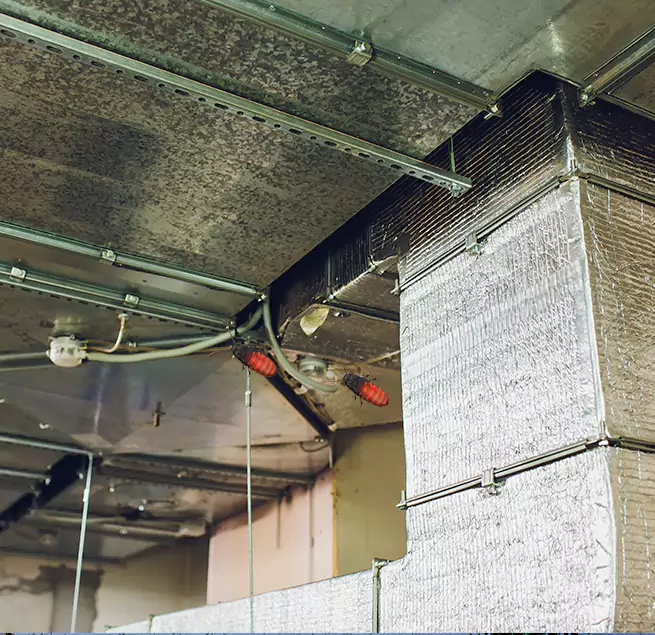 Why Homeowners & Businesses Trust Us in Meadow Woods, FL?