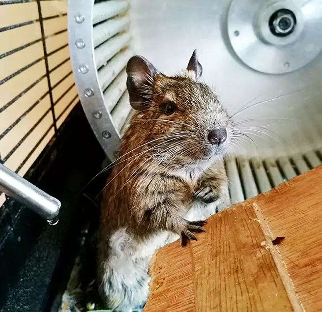 Why Homeowners & Businesses Trust Us Meadow Woods, FL