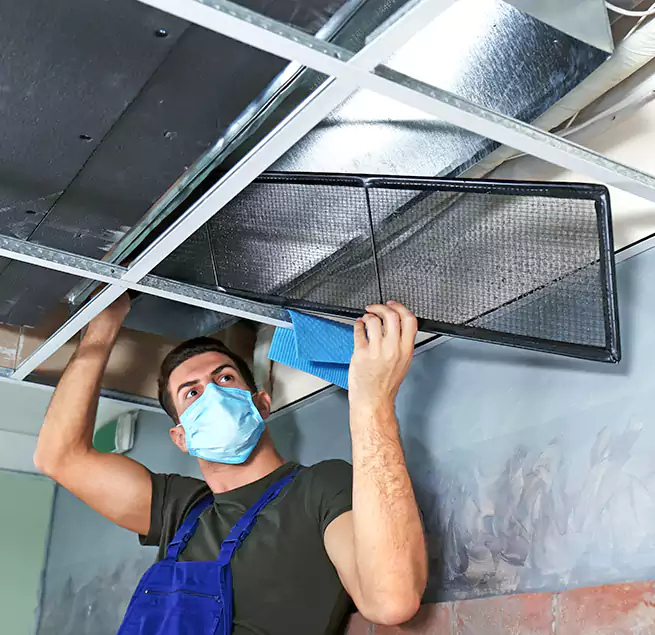 Why Homeowners Businesses Trust Us in Meadow Woods, FL