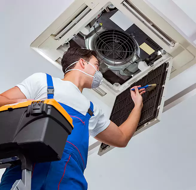 Why Homeowners & Businesses Trust Us in Meadow Woods, FL