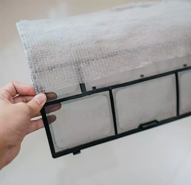 Why Homeowners & Businesses Trust Us in Meadow Woods, FL?