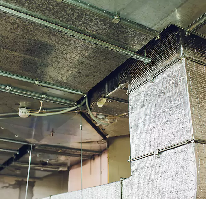 Why Homeowners & Businesses Trust Us in Meadow Woods, FL?