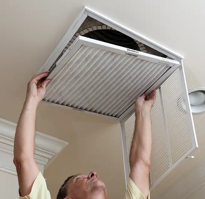 Why Homeowners & Businesses Trust Us in Meadow Woods, FL?