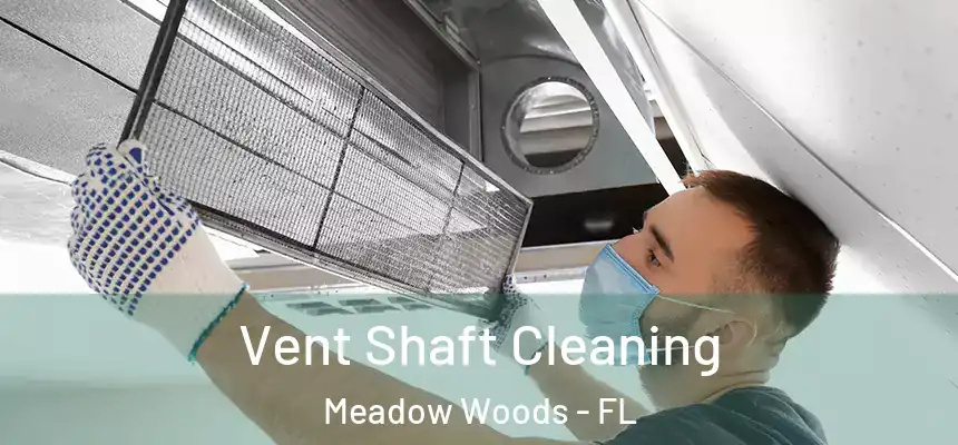 Vent Shaft Cleaning Meadow Woods - FL