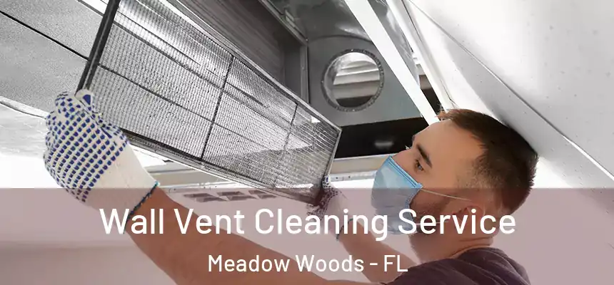Wall Vent Cleaning Service Meadow Woods - FL