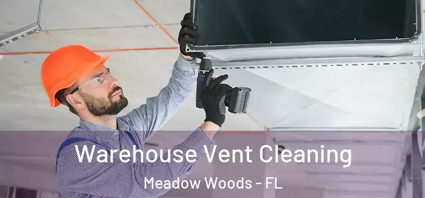 Warehouse Vent Cleaning Meadow Woods - FL